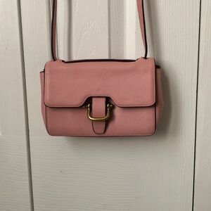 J. Crew Crossbody Mini Bag
